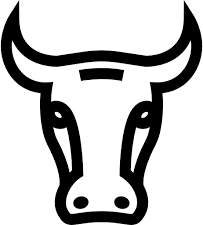 A simplistic, frontal view of a bull.