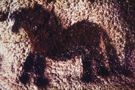 Lascaux cave painting of a small horse.