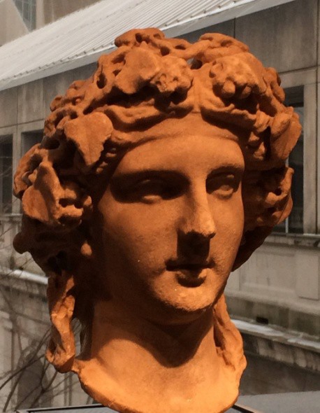 The sculpted head of a young man with grape leaves in his hair.