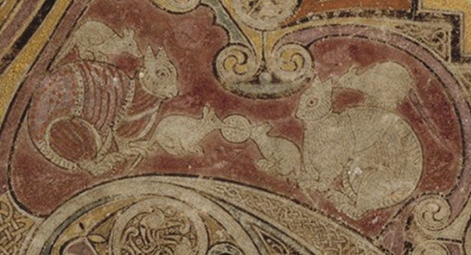 A detail of cats with mice between them and on the back of one of them.