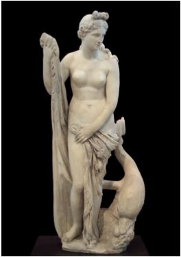 A nude woman supported by a dolphin and holding a draped cloth around her lower body.