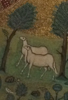 Two sheep stand between trees.