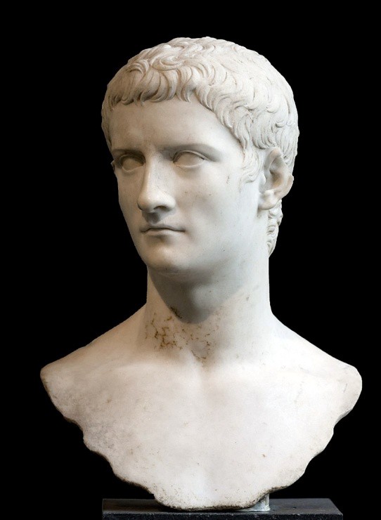 A marble bust of a young man with close cropped slightly curly hair.