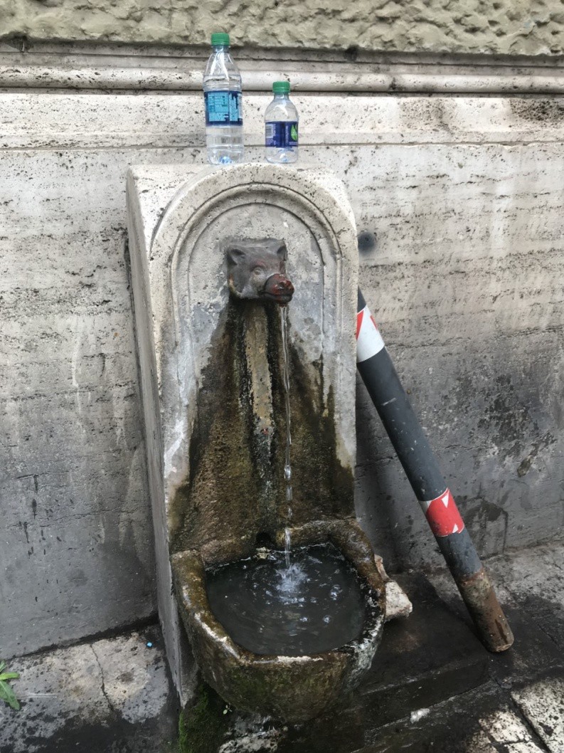 An ancient marble fountain with a canine head dispensing the water.