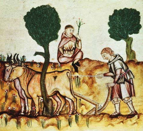 An illustration of peasants ploughing using oxen.