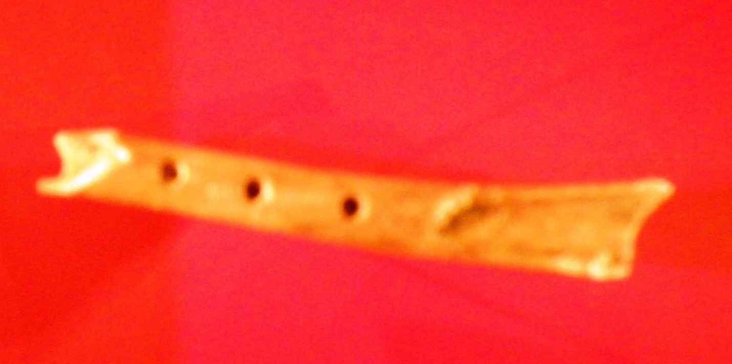 A bone with several holes drilled into the top with a larger opening for the mouth and a smaller opening for the sound to escape.