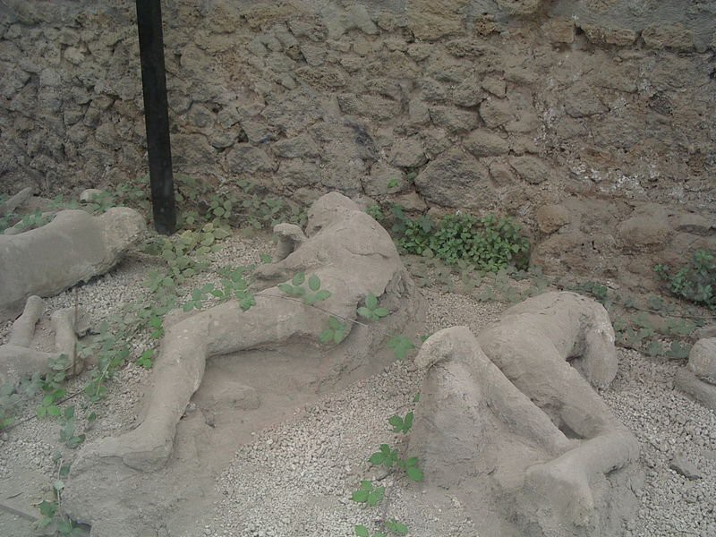 Casts of several humans lying on the ground.