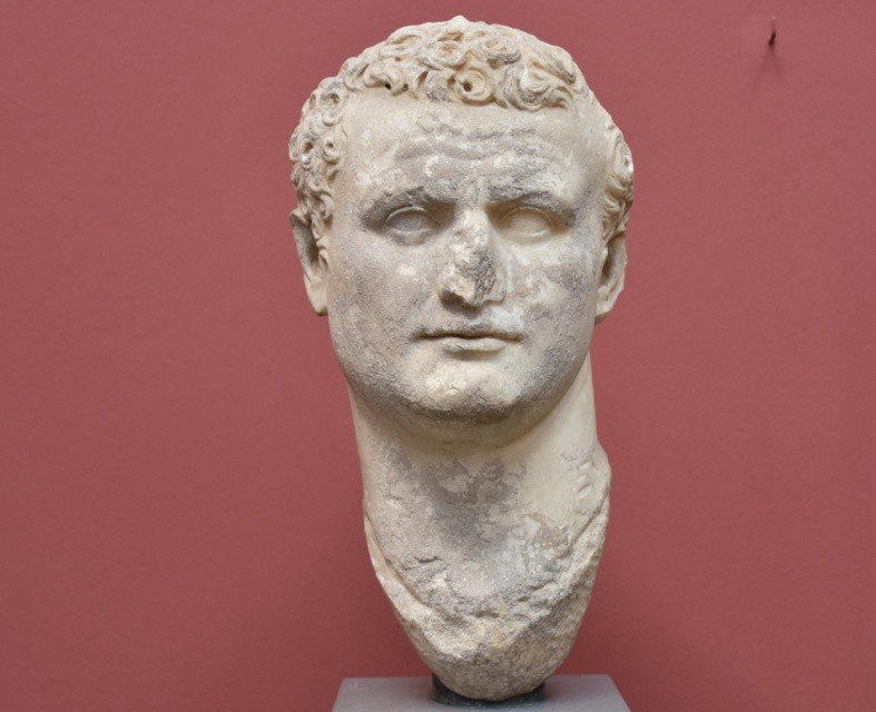 The marble head of a handsome young man with curly hair.