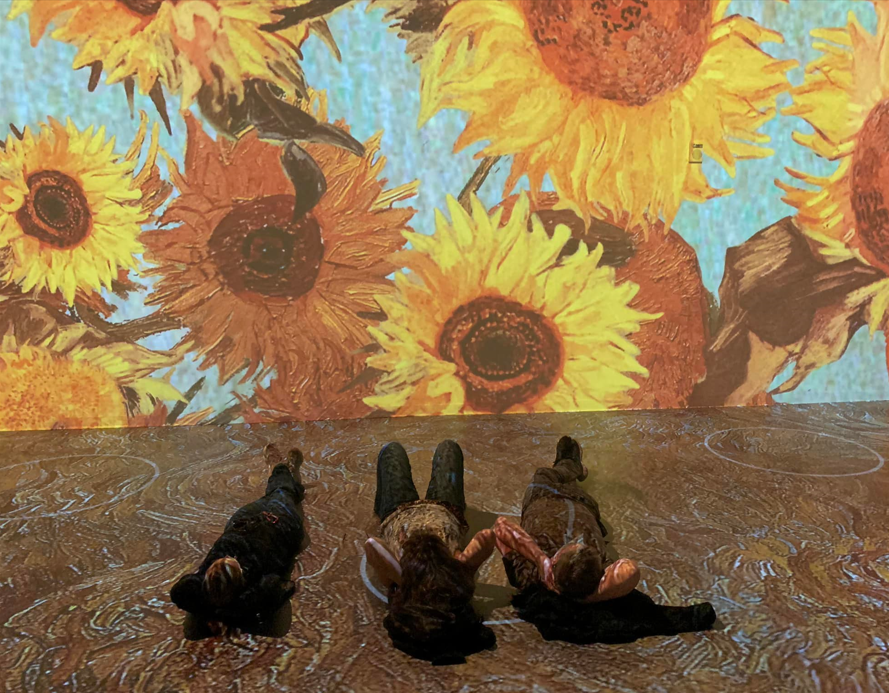 Photograph, The Van Gogh Experience, Sunflowers