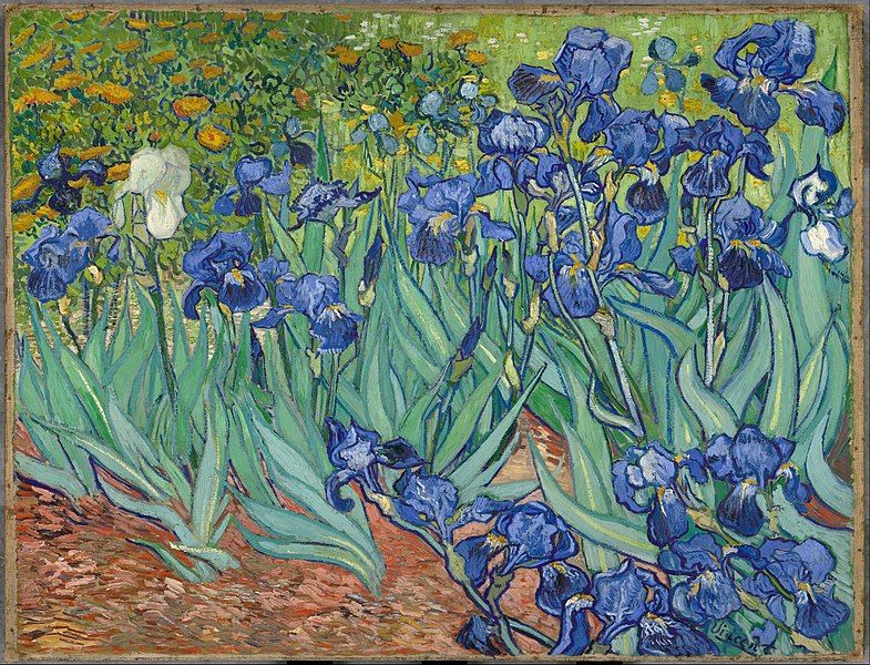 Oil on canvas, Irises, 1889, Vincent van Gogh