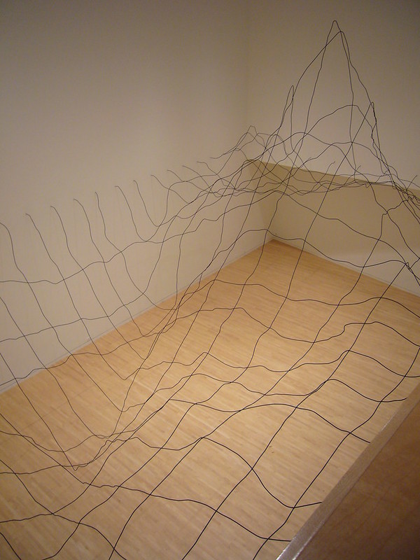 Maya Lin, Water Line, wire and computer graphics, 2006, Corcoran Gallery