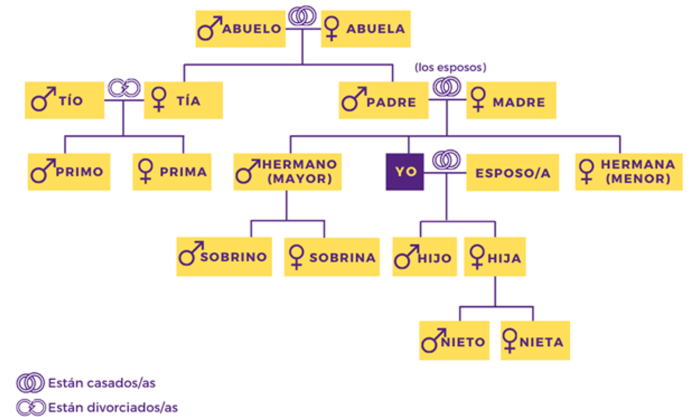 Diagram of family tree.