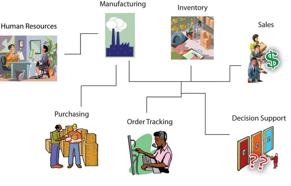 The ERP system in action